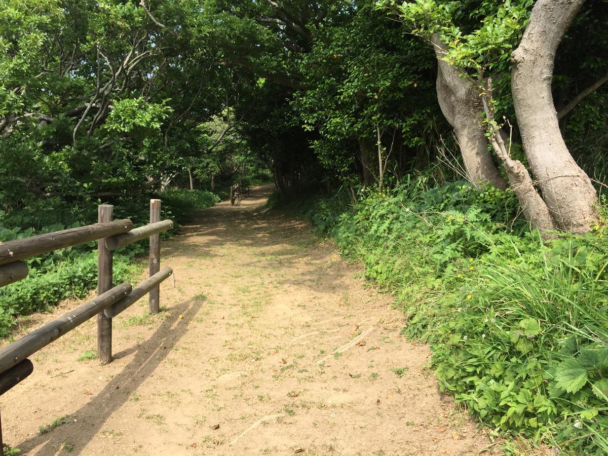 殿崎バンガロー＆Bbq 対馬市 エクステリア 写真